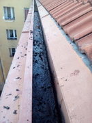 čištění okapů horolezciprahacz výškové práce praha