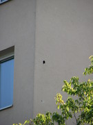 horolezcipraha.cz otvor po strakapoudovi