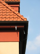 oprava zateplení horolezciprahacz otvory v zateplení od ptáků